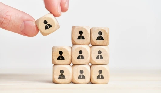 Employment & People Management