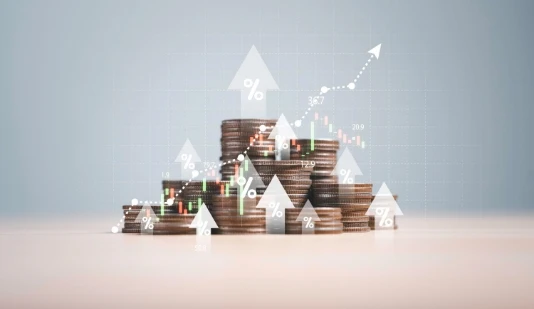 IPO / Capital Market