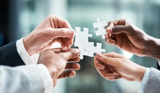 Joint Venture / Business Integration